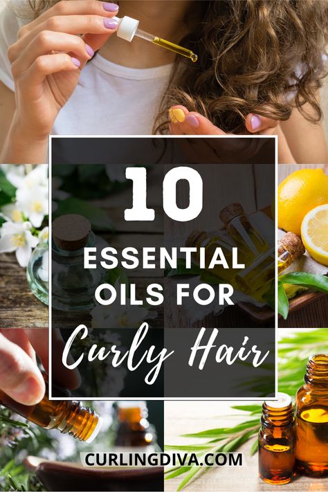 Got Curly Hair? From fighting frizz to keeping hair strong and healthy, you can count on these top 10 essential oils for curly hair! Some of them might be familiar (tea tree oil, anyone?) but I bet you didn't know some of these oils! Read on to find out... #essentialoils #curlyhair #hairhacks #haircare #DIYhair #naturalhair Essential Oil For Curly Hair, Oil For Curly Hair Natural, Hair Oiling Tips For Curly Hair, Best Oil For Curly Hair, Diy Hair Oil For Frizz, Best Oils For Curly Hair, Essential Oils For Dry Hair, Oils For Curly Hair, Curly Hair Oil