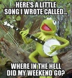 Happy Monday Y'all - Here Are The Best Memes to Start Off the Week With - Funny Gallery Week End Quotes, Funny Sunday Memes, Ex Memes, Sunday Meme, Sunday Humor, Insta Memes, Sunday Quotes Funny, Kermit Funny, Morning Memes