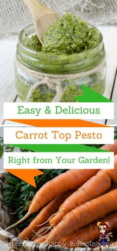 Carrot Top Pesto - use your fresh garden goodness in this simple and delicious recipe. Carrot Top Pesto, Carrot Tops, Carrot Greens, Csa Recipes, Carrot Top, Pesto Recipe, Garden Recipes, Frugal Meals, Grow Your Own Food