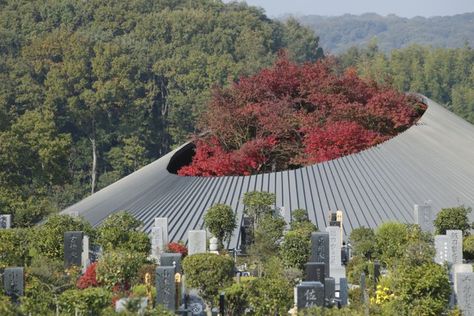 Japanese Cemetery, Memorial Landscape, Hiroshi Nakamura, Community Hall, Timber Frame Building, Community Halls, Timber Structure, Cultural Architecture, Japanese Architecture