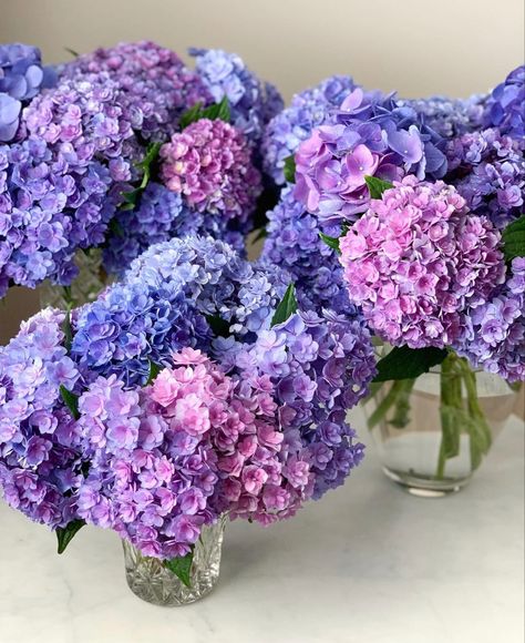 Flowers Purple Aesthetic, Hydrangea Arrangements Wedding, Purple Hydrangea Bouquet, Hydrangeas Flowers, Purple Flower Arrangements, Purple Hydrangea, Hydrangea Arrangements, Hydrangea Bouquet, Purple Bouquet