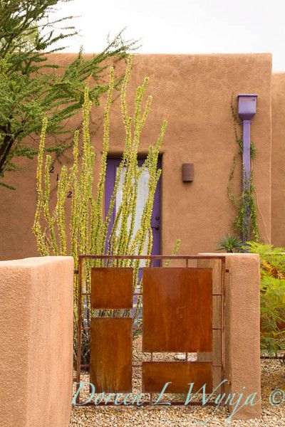 Southwest Landscape Ideas, Botanical Library, Southwest Landscaping, Hacienda Decor, Southwest Landscape, Metal Garden Gates, Spanish Hacienda, Metal Gate, Outside Room