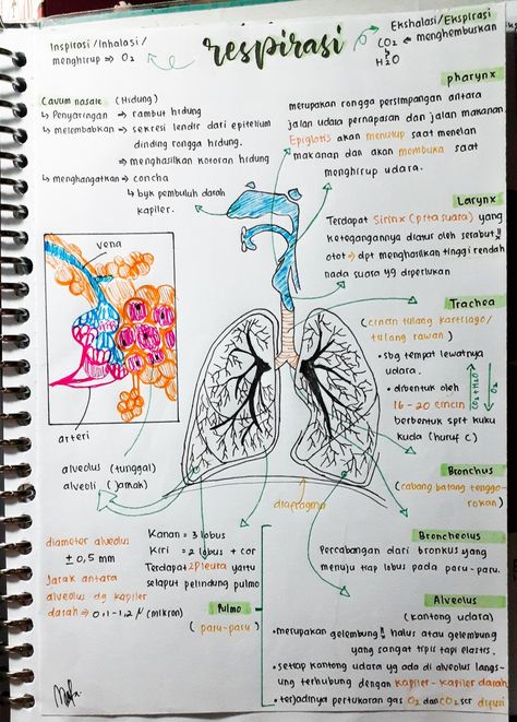 sistem respirasi Nota Sejarah Aesthetic, Mind Maping, Suture Kit, How To Write Neater, Study Biology, School Study Ideas, Nursing School Motivation, Medical School Studying, Science Notes