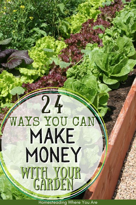 In today's economy, we all need a side hustle or two to make extra money at home. If you start a vegetable garden in your backyard, use that garden to make money. Gardening is a great way to make money on the side and still grow home-grown, fresh vegetables for your family. Make Extra Money At Home, Start A Vegetable Garden, Grow Garden, Starting A Vegetable Garden, Make Extra Money, Side Money, Ways To Make Money, Fresh Vegetables, Extra Money