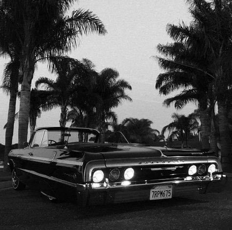 Black Chevy Impala, 1969 Chevy Impala, 64 Impala Lowrider, Impala Car, 1963 Chevy Impala, 1967 Chevy Impala, Old School Aesthetic, Old Fashioned Cars, 64 Impala