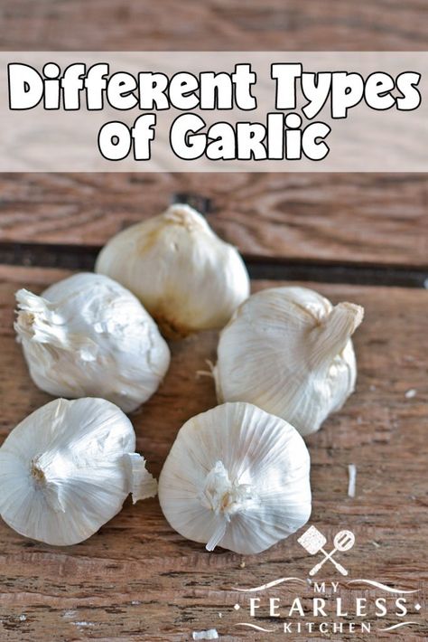 Different Types of Garlic from My Fearless Kitchen. There are more garlic options than the one variety in the produce section in your grocery store. Find out more about different types of garlic. #garlic #kitchentip #grocerystoretip Types Of Garlic, Garlic Garlic, Farm Food, Garlic Recipes, Handy Dandy, Quick And Easy Breakfast, Easy Breakfast, Kitchen Hacks, Grocery Store