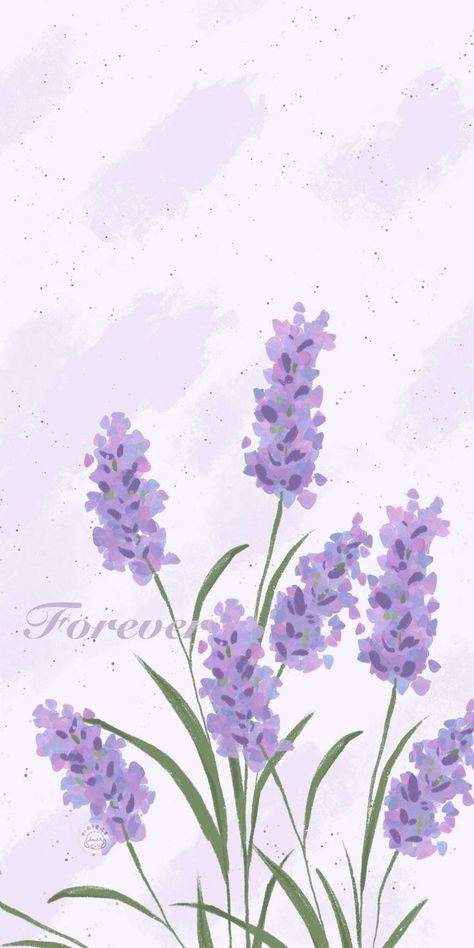 Lavender Flower Wallpaper, Line Art Romantic, Rose Flowers Drawing, Long Wallpaper, Decoration Craft Ideas, Pot Drawing, Cute Flower Drawing, Cute Home Screen Wallpaper, Violet Pastel