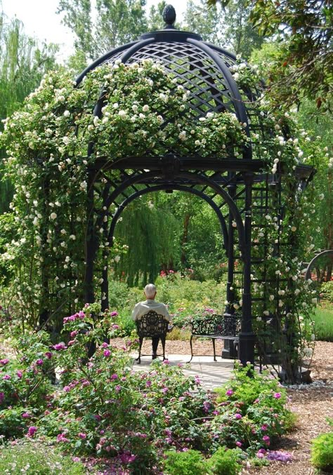 Maple Is A Restaurant Hiding In Descanso Gardens In Southern California Garden Events Place, Garden Gazebo Ideas, California Must See, Social Garden, Descanso Gardens, Landscaped Garden, Events Place, Gazebo Ideas, Climbing Flowers