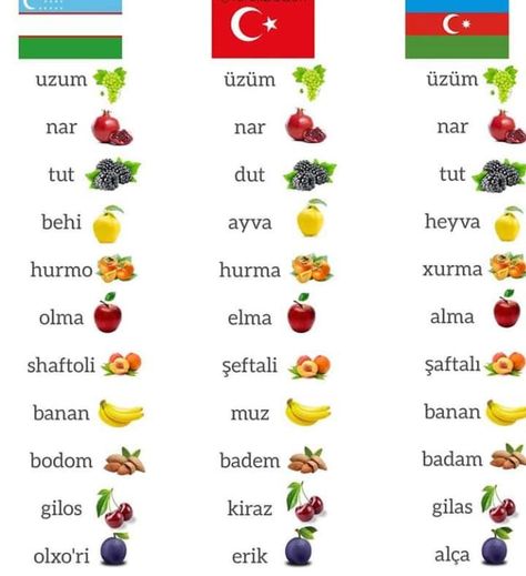 Azerbaijani Language, Uzbek Language, Cute Toothless, Words In Different Languages, Instagram Ios, Turkic Languages, Learn Turkish Language, Diy Room Decor Videos, Cars Brand