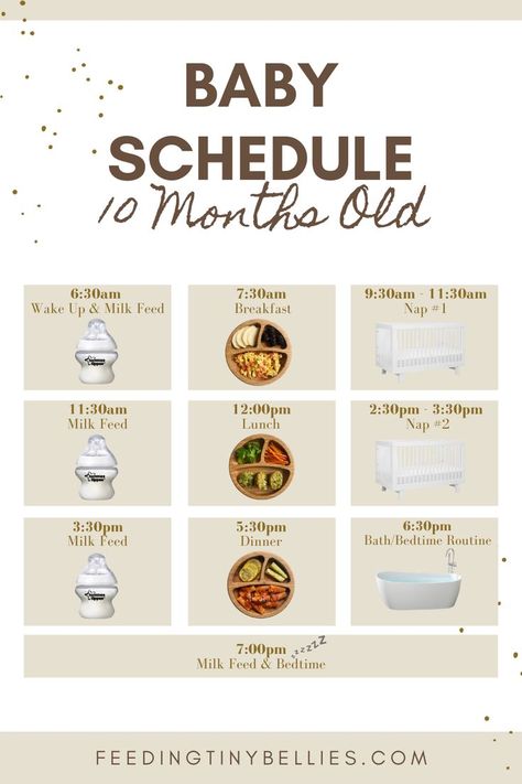 Baby Schedule - 10 Months Old Bottle Schedule For 10 Month Old, 10 Month Old Schedule Feeding, 5 Month Old Routine, 9month Old Schedule, 10 Month Old Routine, 2 Month Old Eating Amount, 5 Month Food Schedule, 9 Month Old Routine, 10 Month Old Food Schedule