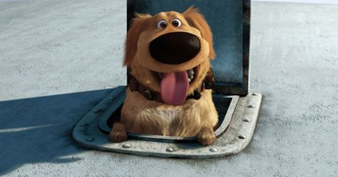 Quiz: Which Disney Dog are You? | I got dug from up thankfully I love that movie Dug The Dog, Disney Love Quotes, Disney Sidekicks, Reservoir Dogs, Disney Pixar Movies, Disney Pixar Up, Disney Up, Disney Dogs, Animated Animals