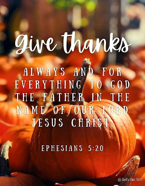 Harvest Quotes, Ephesians 5 20, Fall Bible Verses, Good Morning Sweetheart Quotes, Bible Quotes Images, Gods Love Quotes, Holiday Quotes, God Is Real, Encouraging Scripture