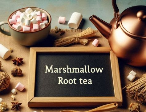 Marshmallow Root Tea: Health Benefits, Recipe & Side Effects Marshmallow Root Tea Recipe, Marshmallow Tea Benefits, Watermelon Water Recipe, Damiana Tea, Reishi Mushroom Tea, Marshmallow Root Tea, Marshmallow Tea, Okra Benefits, Fenugreek Tea