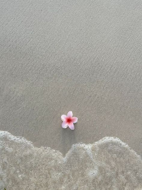 Summer Wallpaper Flowers, Beach And Flowers, Laut Aesthetic, Flowers Beach, Beautiful Beach Pictures, Beach Flowers, Iconic Wallpaper, Aesthetic Japan, Pink Beach