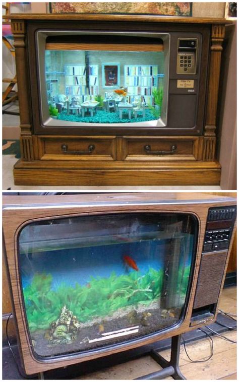 #Fish, #Tank, #Television, #Upcycled, #Vintage Tv Fish Tank, Fish Tank Themes, Aquarium Set, Amazing Aquariums, Cool Fish Tanks, Diy Fish Tank, Salt Water Fish, Cool Fish, Home Aquarium