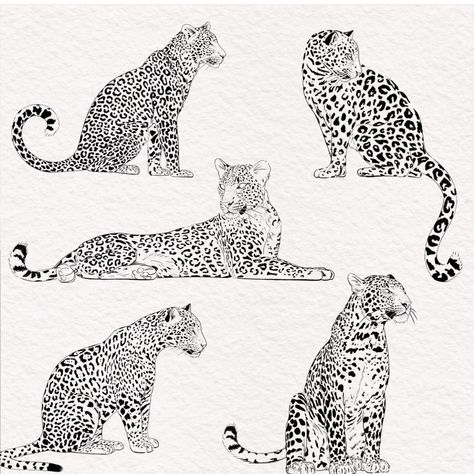 Cheetah Laying Down Drawing, Amur Leopard Tattoo, Leopard Outline Tattoo, Sitting Leopard Tattoo, Cheetah Laying Down, Panther Tattoo Fine Line, Leopard Fine Line Tattoo, Big Cat Tattoo For Women, Jaguar Back Tattoo