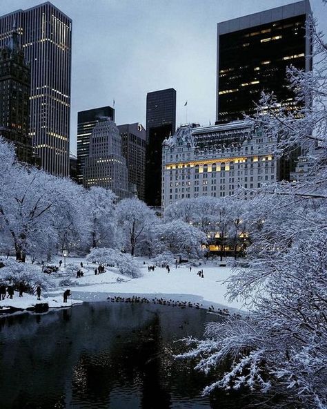 New York on Instagram: "Winter scenery in Central Park 📸 @edwinmurillorealtor ➖ Hashtags: #newyork #newyorkcity #newyorker #newyorklife #newyork_instagram #newyork_ig #newyorkarea #newyorkcitylife #newyorkcityphotography #newyorkstateofmind #centralpark #centralparknyc #centralparkmoments #nyc #nw #ny #empirestateofmind #visitnyc #winternyc" New York Winter, Nyc Christmas, Beautiful Snow, Central Park Nyc, Nyc Aesthetic, New York Life, Pretty Landscapes, Winter Scenery, Winter Pictures