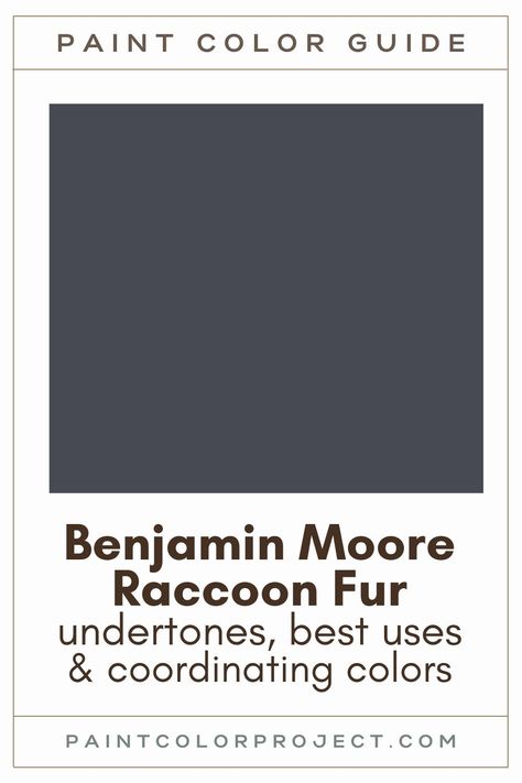 Benjamin Moore Raccoon Fur paint color guide Raccoon Fur Paint Benjamin Moore, Raccoon Fur Paint Color, Bm Raccoon Fur, Randolph Grey Benjamin Moore, Benjamin Moore Raccoon Fur Exterior, Raccoon Fur Benjamin Moore Exterior, Raccoon Fur Benjamin Moore, Benjamin Moore Raccoon Fur, Benjamin Moore Paint Colors Gray