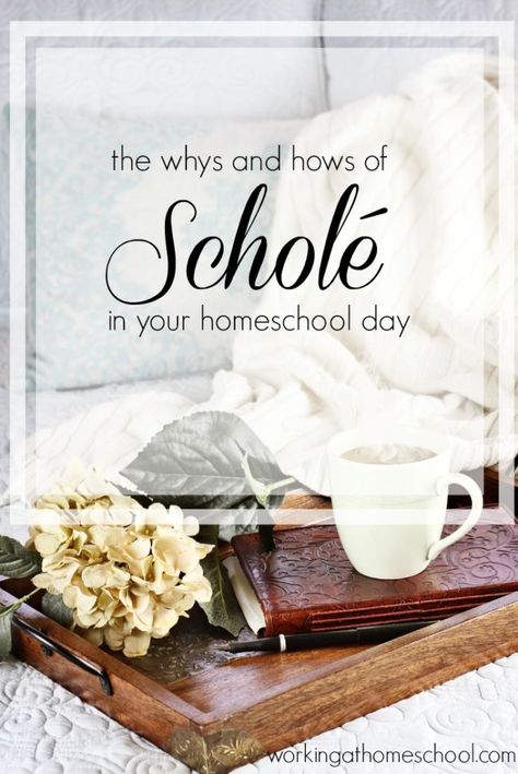 The whys and hows of Schole in your classical homeschool day. Classical Education Homeschool, Teaching From Rest, 2 Monkeys, Wedding Dress With Straps, Mother Culture, Classical Homeschool, Relaxed Homeschooling, Charlotte Mason Homeschool, Past Simple