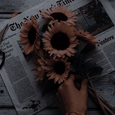 Aesthetic Sunflower, Recycled Newspaper, Hufflepuff Aesthetic, Sunflower Pictures, Dark Academia Aesthetic, Fantasy Aesthetic, Academia Aesthetic, + Core + Aesthetic, Nature Indoors