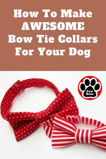 Dog Kerchiefs, Dog Bow Tie Diy, Dog Bow Tie Pattern, Dog For Sale, Dog Bandana Pattern, Dog Sewing Patterns, Dogs Diy Projects, Diy Dog Collar, Collars Diy