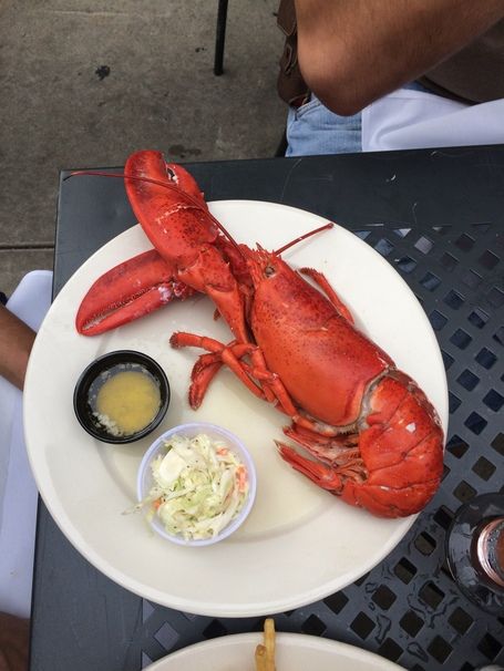 A Beginner's Guide on How to Eat a Whole Lobster How To Eat Lobster, How To Cook Whole Lobster, How To Prepare Lobster, Frozen Lobster, College Of Charleston, How To Cook Lobster, Lobster Tails, Maine Lobster, Did You Eat