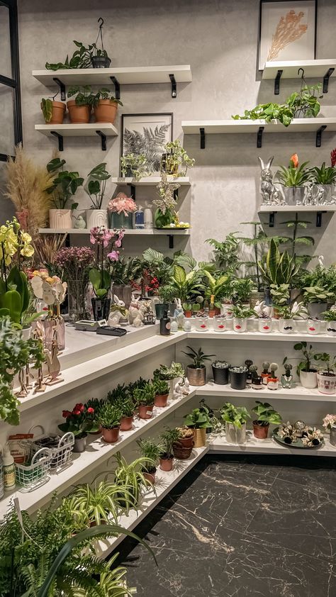 Healthy Cafe Interior, Florist Shop Interior Inspiration, Plant Shop Ideas, Plant Shop Aesthetic, Garden Center Displays, Flower Shop Interiors, Eco Flowers, Plant Diy, Flower Shop Decor