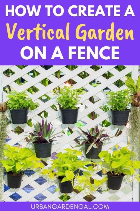 Hanging Plants On Fence, Fence Garden Ideas, Fence Gardens, Garden Fencing Ideas, Fence Makeover, Vertical Fence, Good Neighbor Fence, Garden Fence Ideas, Fence Planters