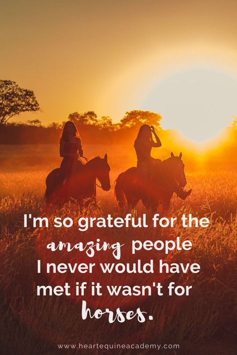 Quotes for horse lovers. "I'm so grateful for the amazing people I never would have met if it wasn't for horses." Always treasure your equestrian friends. www.heartequineacademy.com Equestrian Friends, Horse Signs, Riding Aesthetic, Horse Friends, Equine Quotes, Horseback Riding Tips, Horse Jokes, Horse Riding Aesthetic, Equine Care