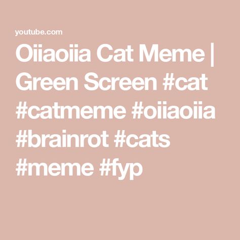 Oiiaoiia Cat Meme | Green Screen #cat #catmeme #oiiaoiia #brainrot #cats #meme #fyp Oiiaoiia Cat, Cat Meme, Green Screen, Cat Memes, Screen, Memes, Green