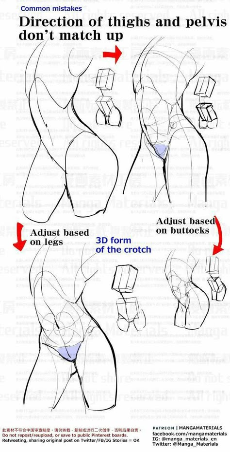 Manga Materials, Anatomy Tutorial, Human Anatomy Drawing, Body Drawing Tutorial, Human Anatomy Art, Anatomy Sketches, Body Reference Drawing, Drawing Faces, Anatomy References