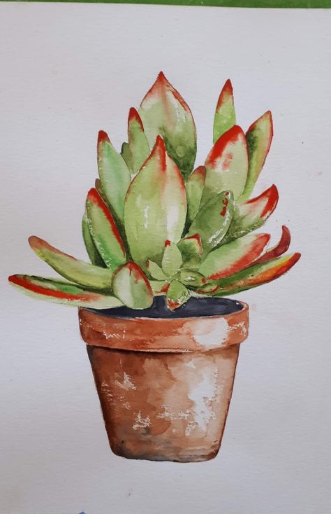 Watercolor Art Succulents, Watercolor Plant Art, Potted Plant Watercolor, Watercolor Succulents Easy, Watercolor House Plants, Simple Succulent Painting, Cactus Plants Drawing, Watercolor Art Plants, Watercolor Cactus Paintings