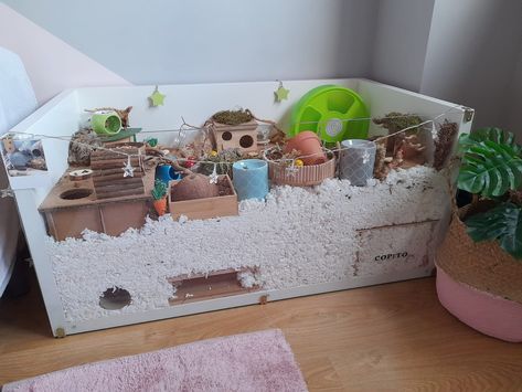 Hamster cage Linmon Ikea Hamster Cage, Preppy Hamster Cage, Savic Plaza Hamster Cage, Ikea Linnmon Hamster Cage, Pawhut Hamster Cage Set Up, Hamster Cage Ideas Diy Bin, Aesthetic Hamster Cage, Ikea Hamster Cage, Hamster Cage Ideas Aesthetic