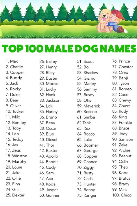 Super gut Top 100 Female Dog Names, Cute Pet Names Animals, Names For Girl Dogs, Puppy Names Female, Cat Names Girl, Dog Names Girl, Puppies Names Female, Top Dog Names, Male Dog Names