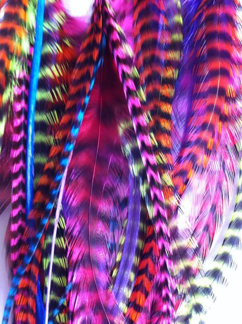 * Taste The Rainbow, Colorful Feathers, Jolie Photo, Over The Rainbow, World Of Color, Color Of Life, Perfume Bottle, Bird Feathers, Textures Patterns