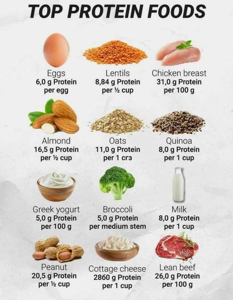 Top Protein Foods, Protein Foods List, Food To Gain Muscle, Healthy Weight Gain Foods, Protein Meal Plan, High Protein Food, Protein Ideas, High Protein Foods, Protein Food