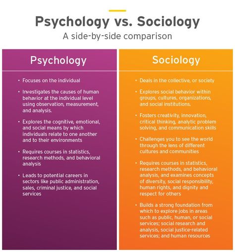 Sociology vs. Psychology: Which Bachelor’s Degree? | Ashford University Sociology Quotes, Sociology Major, Sociology Books, Psychology Memes, Doctoral Degree, Learning Psychology, Psychology Careers, Psychology 101, Psychology Notes