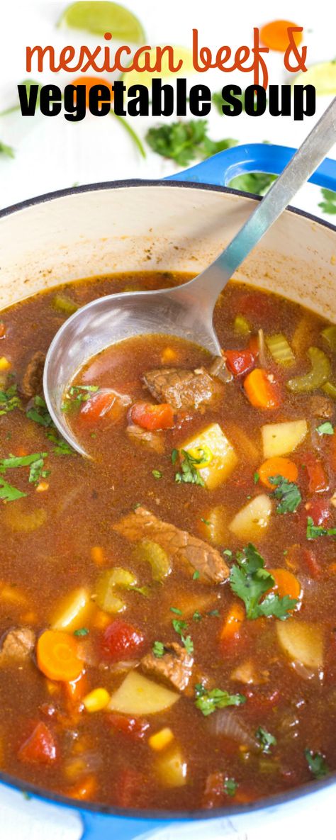 MEXICAN BEEF AND VEGETABLE SOUP is a family-favorite loved by all! This soup tastes like it's simmered all day, but only takes 30 minutes from start to finish! via @realhousemoms Mexican Vegetable Soup, Mexican Beef Soup, Beef And Vegetable Soup, Vegetable Soup Crock Pot, Mexican Vegetables, Beef Soup Recipes, Mexican Beef, Mexican Soup, Paleo Crockpot