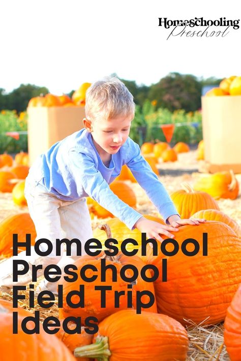 Homeschool Preschool Field Trip Ideas - Homeschooling Preschool Preschool Field Trip Ideas, Preschool Field Trip, Field Trip Ideas, Fire Safety Week, Homeschooling Preschool, Safety Week, Homeschool Field Trips, Interactive Museum, Growing Pumpkins