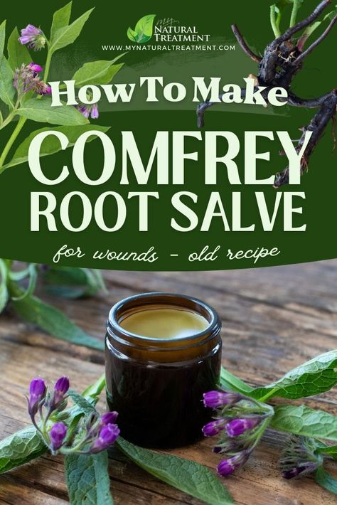 Original Comfrey Leaves Salve Recipe for Skin Repair – 100 % Natural Recipe #comfrey #comfreyleaf #comfreyleavessalve #comfreyleavescream #comfreyleafuses #herbalsalve #comfreysalve #comfreysalverecipe Comfrey Root Uses, Comphrey Salve Recipes, Comfrey Root Benefits, Furniture Salve Recipe, Comfrey Benefits, Comfrey Salve Recipe, Comfrey Tea, Herbal Salve Recipes, Comfrey Salve