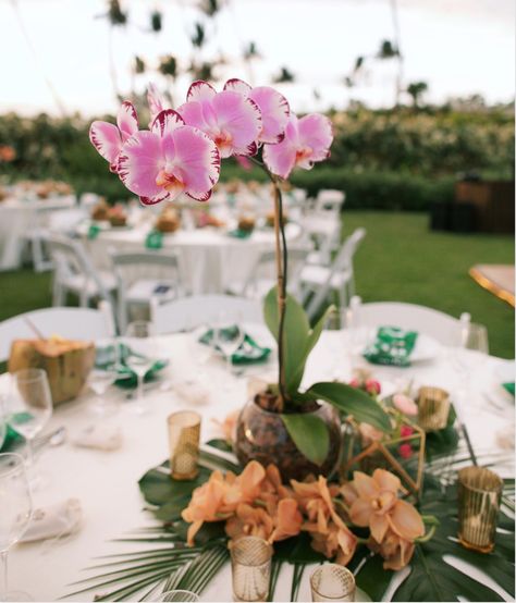 orchid centerpiece Orchid Wedding Centerpieces, Orchid Centerpieces Wedding, Fresh Wedding Flowers, Orchid Centerpieces, Beach Wedding Centerpieces, Modern Wedding Flowers, Orchid Wedding, Orchid Arrangements, Hawaiian Wedding