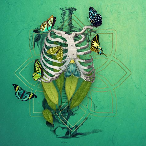 Symbiosis Art, Digital Art Collage, Ib Art, Personal Investigation, Mixed Media Photography, Art Theme, Gender Envy, Flora And Fauna, Smooth Background