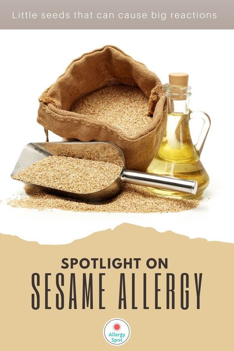 Sesame Allergy, Make Your Own Hummus, Seed Bars, Meat Replacement, Different Types Of Bread, Importance Of Food, Edible Seeds, Desserts With Biscuits, Vegetarian Burger