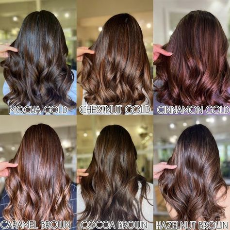 Tint Hair Color For Short Hair, Hair Colour For Filipino Skin, Brown Hair Colors For Indian Skin, Middle Eastern Hair Color, Coco Brown Hair Color, Cocoa Hair Colour, Cocoa Brown Hair Color, Brown Hair Gloss, Mocha Brunette Hair