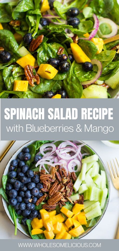 Spinach Salad with Blueberries and Mango is bursting with fruity and tangy flavor! You’ll love the layers of texture, and most delicious sweet basil vinaigrette to top it off! A simple salad that is perfect for a side dish or lunch salad. Paleo and Gluten-free, with a Vegan option. Mango Salad With Spinach And Blueberries, Mango Spinach Salad, Blueberry Salad Recipes, Blueberry Spinach Salad, Salad With Blueberries, Salad Recipes Vegetarian, Blueberry Salad, Basil Vinaigrette, Spinach Salad Recipes