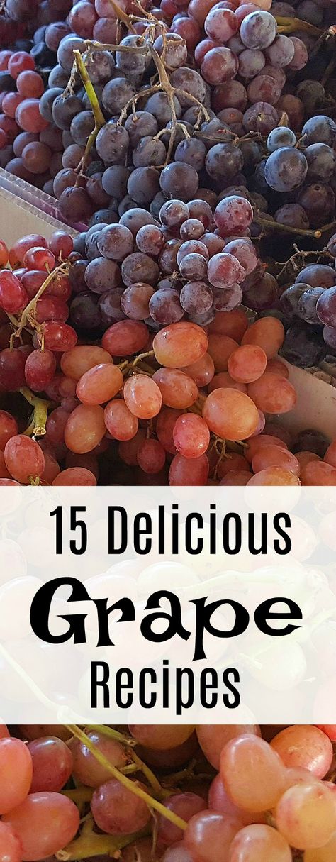 15 Delicious Recipes with Grapes - Food Blogger Recipe Round Up Grapes Dessert Recipes, Recipes With Grapes Healthy, Red Seedless Grapes Recipes, What To Do With Grapes Recipes, Recipes For Grapes With Seeds, What To Do With Soft Grapes, Red Grape Recipes Ideas, What To Do With Extra Grapes, Grapes Recipes Dessert