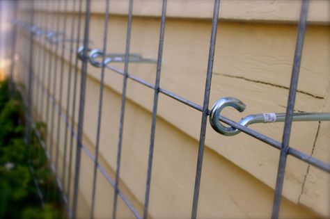 I consider myself lucky to live in a place where garages aren’t the face of the neighborhood. Those neighborhoods where people hit the opener as they are pulling up and again when they have pulled in – living a life where a big metal door is between them and their neighbors. Now if you catch me in the... Read More » Hog Wire Trellis, Door Pergola, Wire Trellis, Wall Trellis, Gabion Wall, Garden Vines, Trellis Design, Garden Trellis, Metal Door