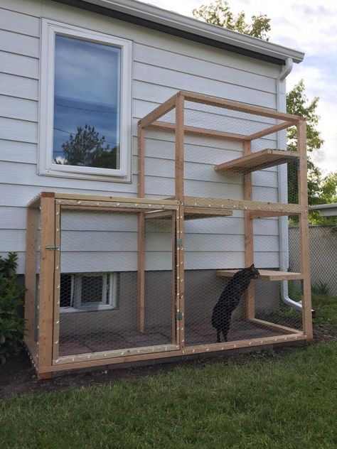 Cats Outdoors, Cat Patios, Diy Bunny Cage, Diy Cat Enclosure, Backyard Hangout, Katt Grejer, Tropical Retreat, Cat Patio, Cat Houses