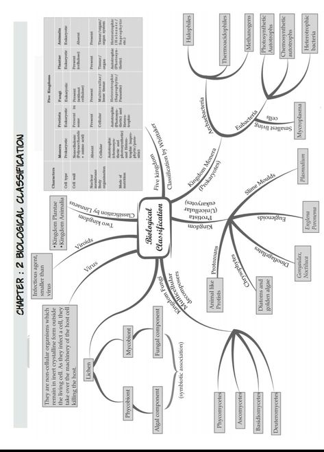 Biological classification Biological Classification Flow Chart, Biological Classification Short Notes, Biological Classification Mind Map, Biological Classification Notes For Neet, Biological Classification Notes, Zoology Notes, Biological Classification, Apologia Biology, Life Science Middle School