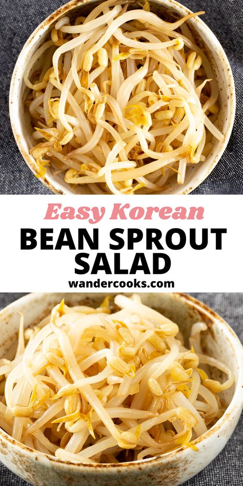 Korean Side Dishes Bean Sprouts, Korean Mung Bean Sprouts, Seasoned Bean Sprouts, Japanese Bean Sprout Recipes, Korean Sprout Side Dish, Korean Bean Sprout Salad, Korean Sprouts, Canned Bean Sprouts Recipes, Beansprout Korean Side Dish